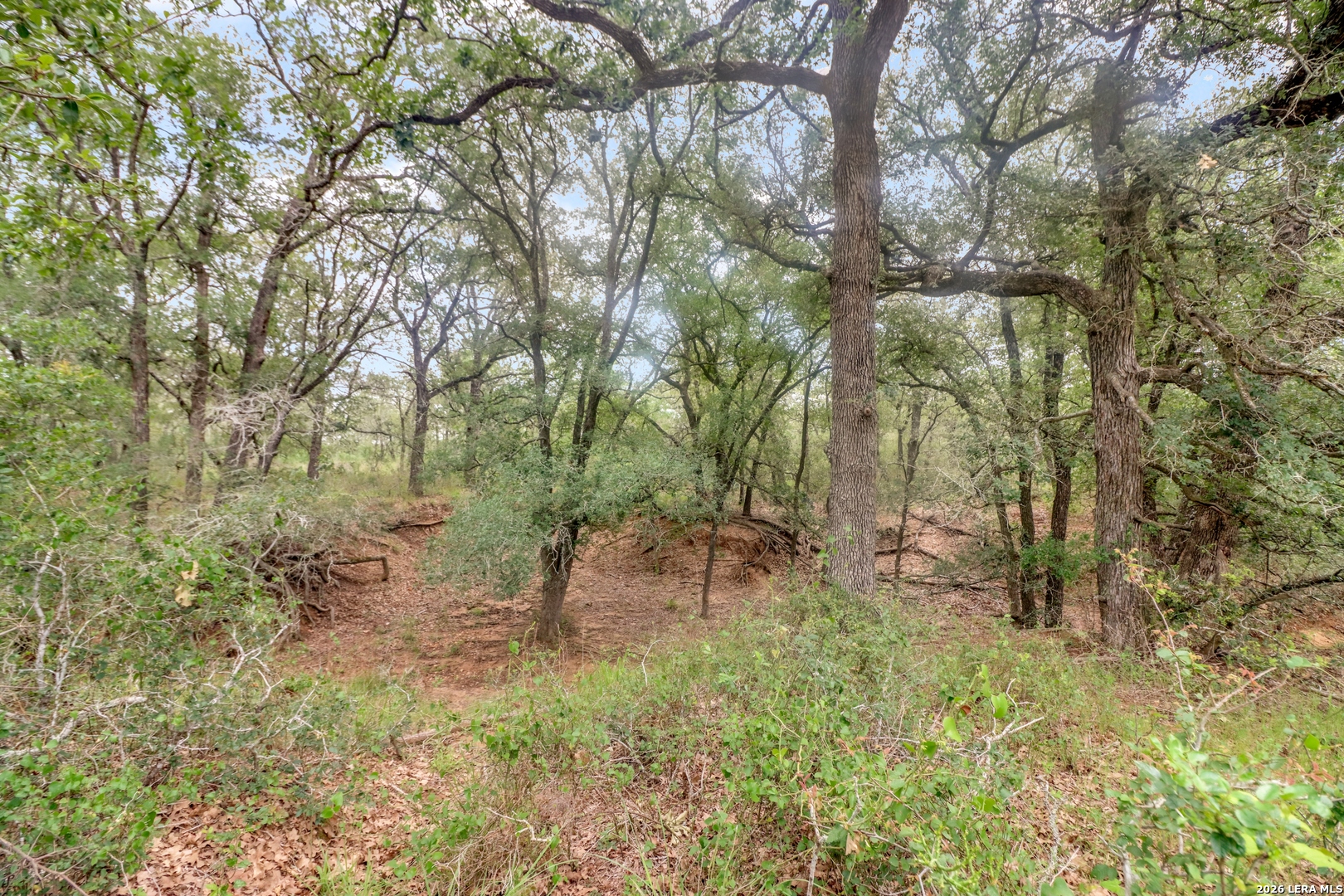 Tbd Cross Road Seguin, TX 78155 - Photo 23 of 23