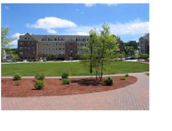 1-209 Powder Mill Square, Unit 209 Andover, MA 01810 - Photo 3 of 9 Gallery Image 3