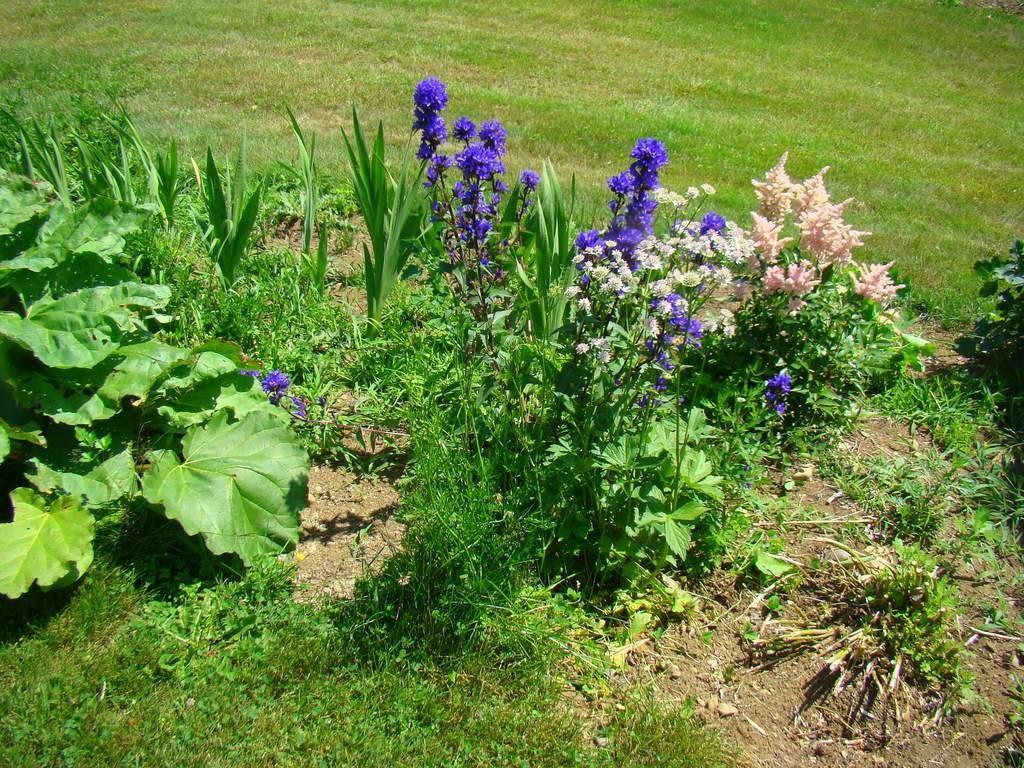 18 Center Hill Road Temple, ME 04984 - Photo 26 of 35 Photo