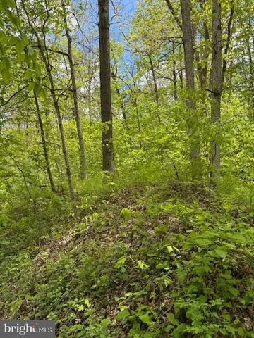 $105,000 | 0 Little Wolf Road, Bellefonte, PA 16823