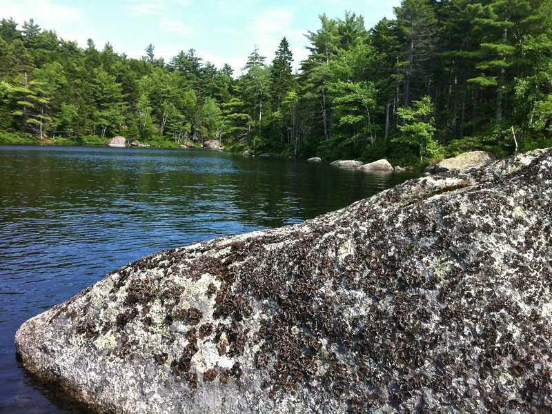 0 Alamanda Road Dedham, ME 04429 - Photo 11 of 21 Land.