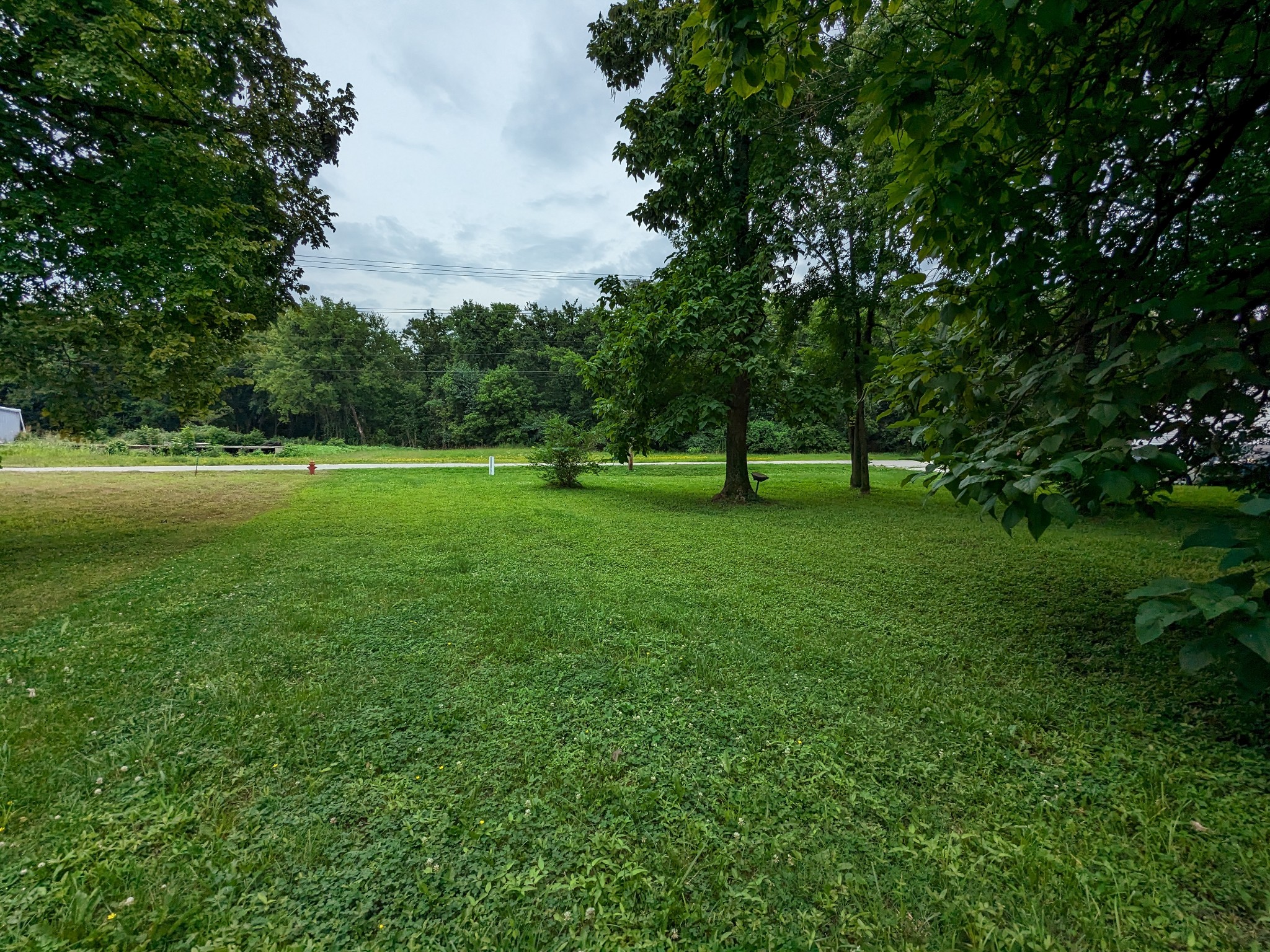 a view of field with trees in the background