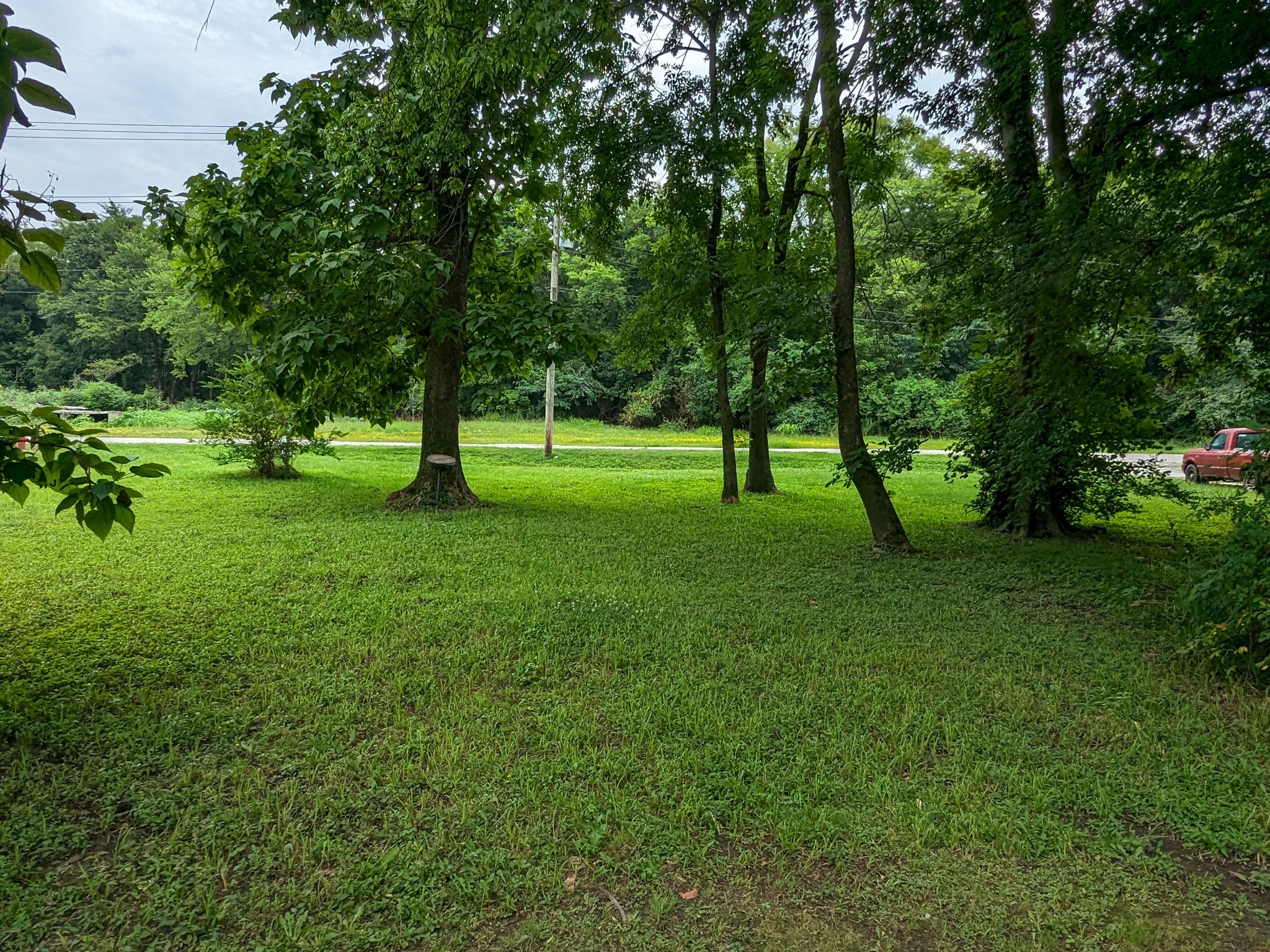 214 Boswell Street Mount Pleasant, TN 38474 - Photo 2 of 6 a view of field with trees in the background