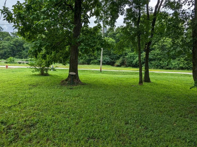 a big yard with lots of green space and trees
