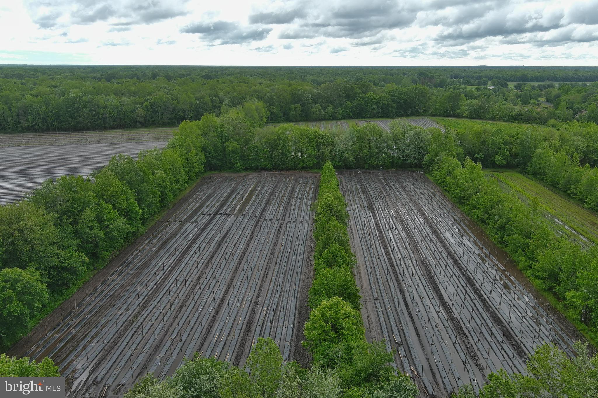 427 Isaac Budd Road Southampton, NJ 08088 - Photo 12 of 12 a view of a yard with plants and a wooden fence