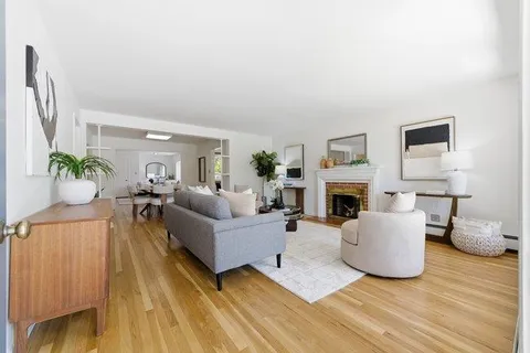 a living room with furniture a fireplace and a potted plant