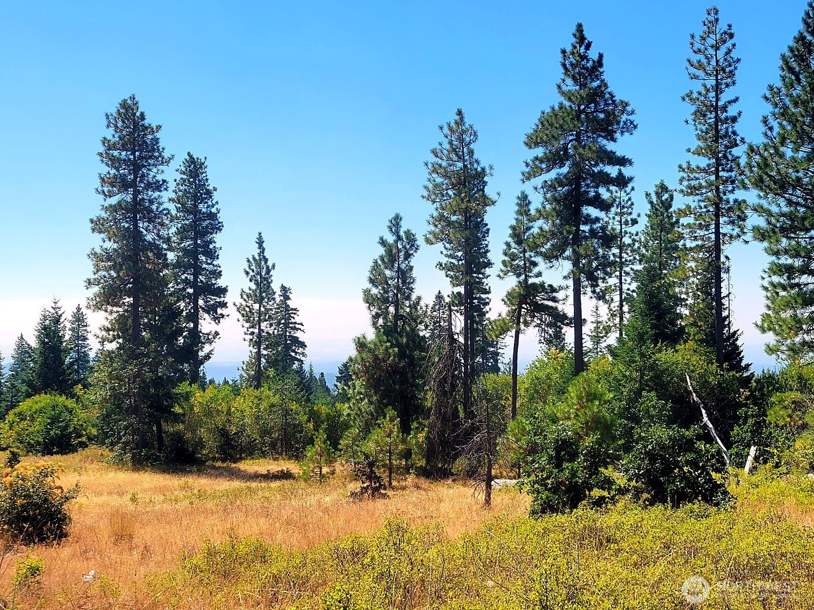 3 Simcoe Mountain Goldendale, WA 98620 - Photo 1 of 3 Gallery Image 1