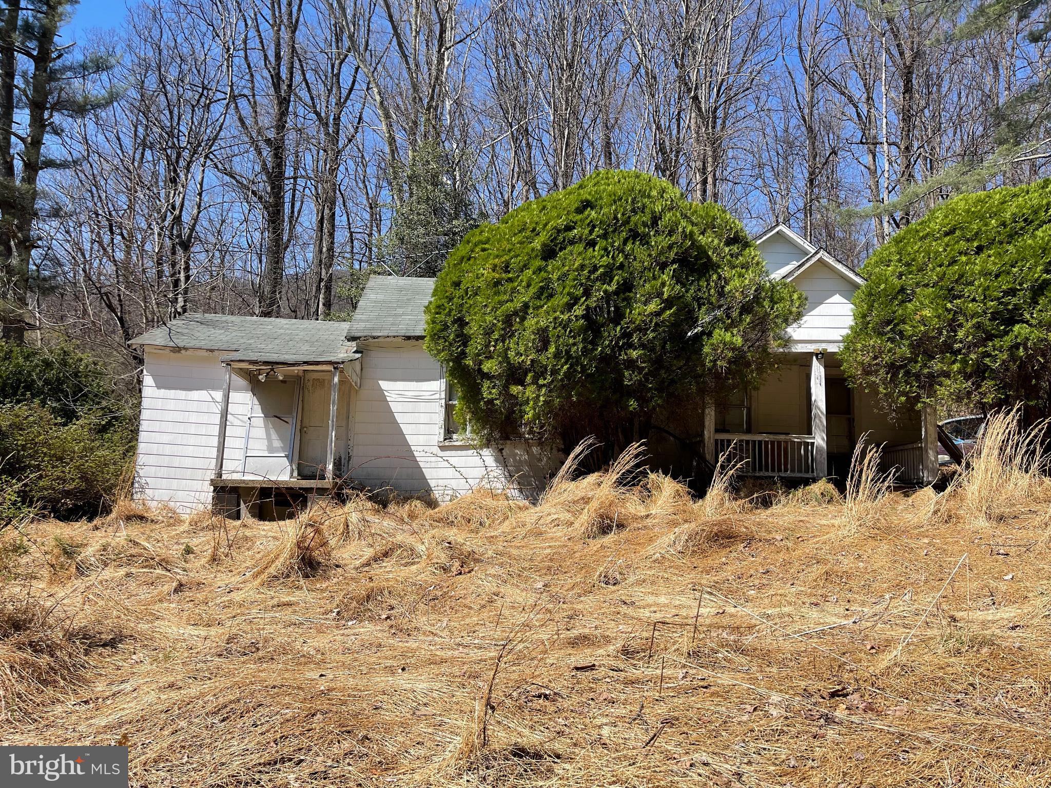 a view of a yard covered in snow