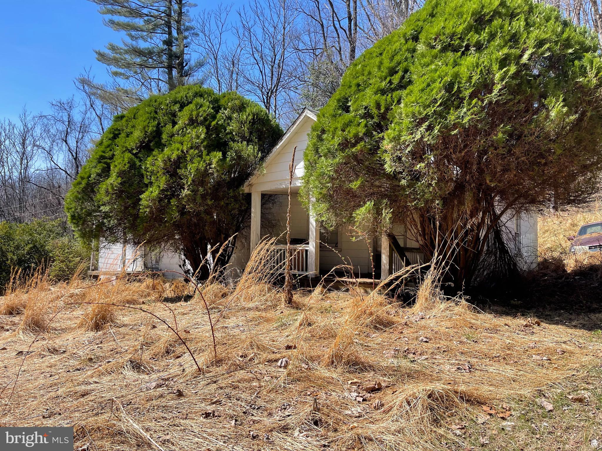 4100 Heards Lane Afton, VA 22920 - Photo 3 of 7 a view of house with yard covered in snow