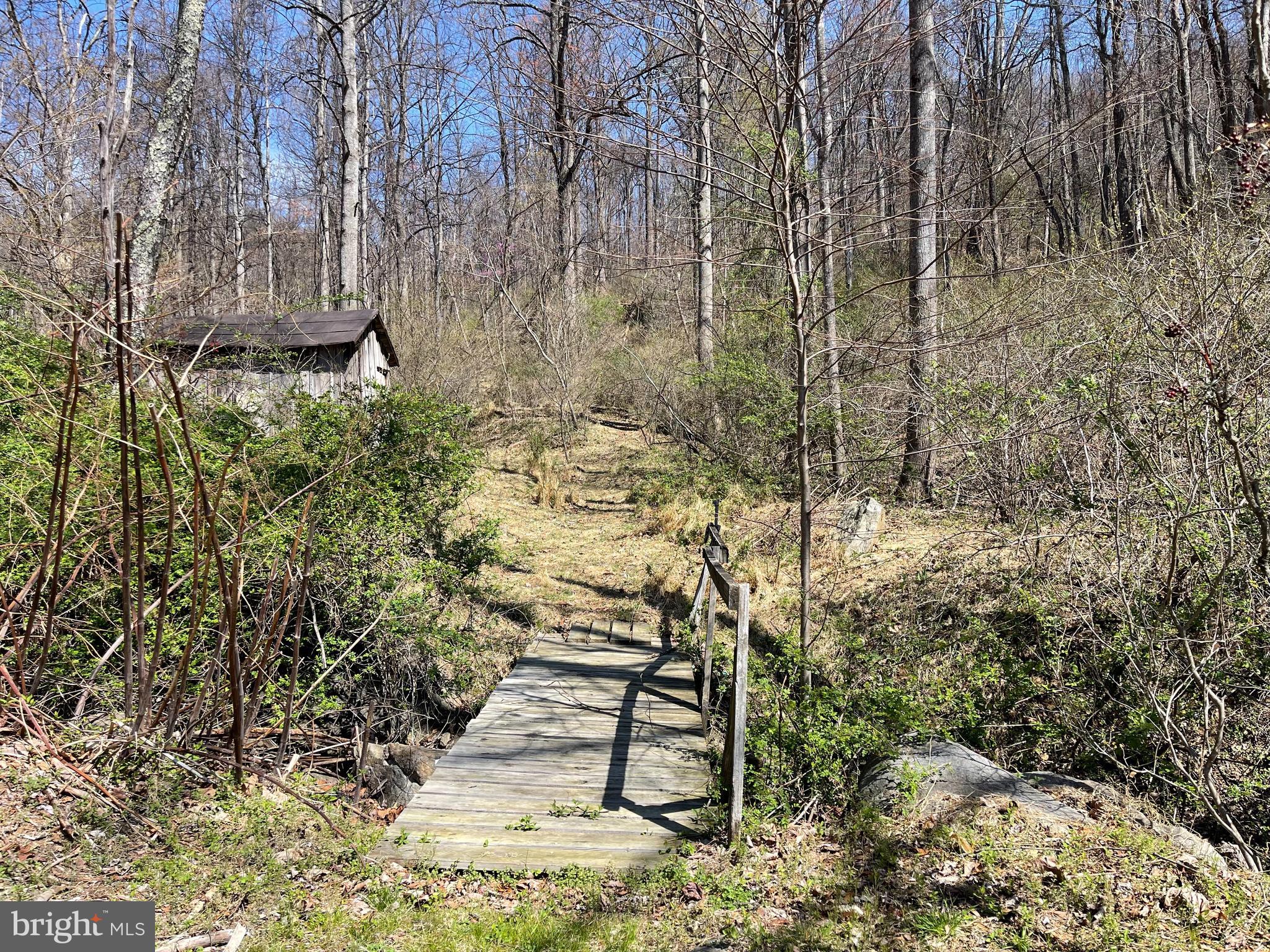 4100 Heards Lane Afton, VA 22920 - Photo 6 of 7