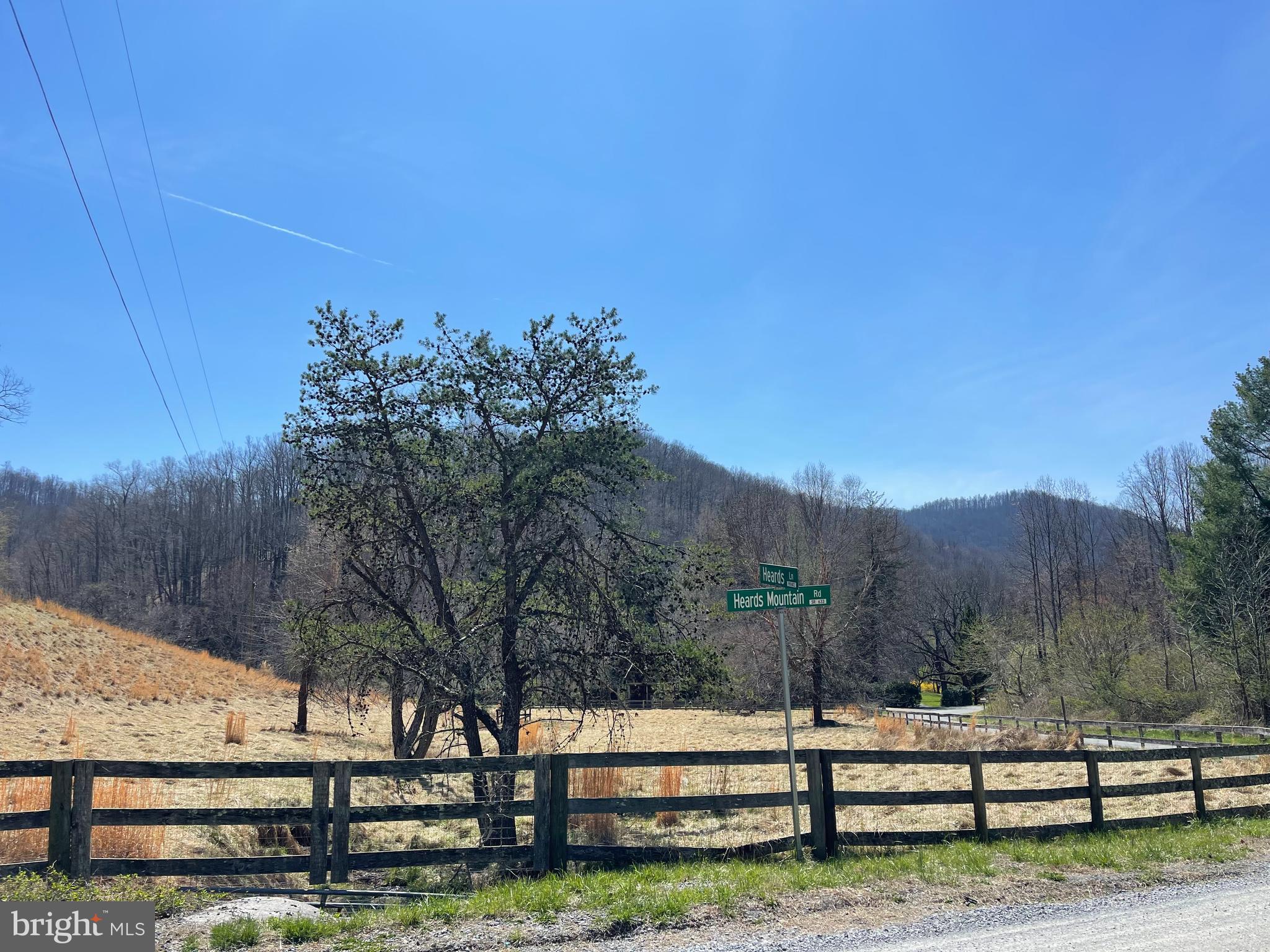 4100 Heards Lane Afton, VA 22920 - Photo 7 of 7 a view of park and trees