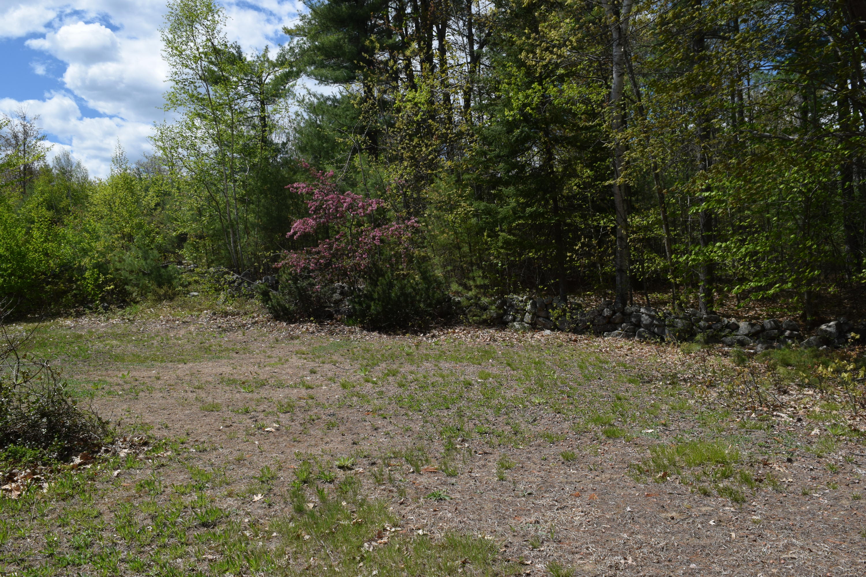312 Rocky Knoll Road Denmark, ME 04022 - Photo 36 of 38 DSC_0009