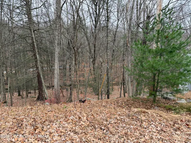 $10,000 | 88 Fairfax Terrace, East Stroudsburg, PA 18301