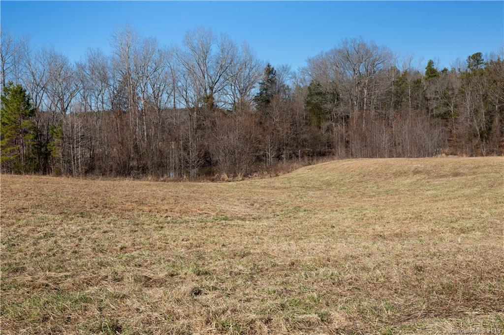 3780 Sawmill Road Hickory Grove, SC 29717 - Photo 13 of 35 a street view with wooden fence