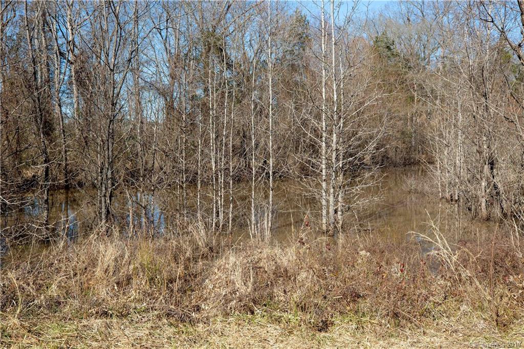 3780 Sawmill Road Hickory Grove, SC 29717 - Photo 15 of 35 a picture of a tree