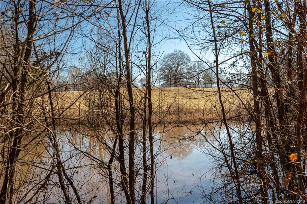 3780 Sawmill Road Hickory Grove, SC 29717 - Photo 17 of 35 a view of tree next to a large tree