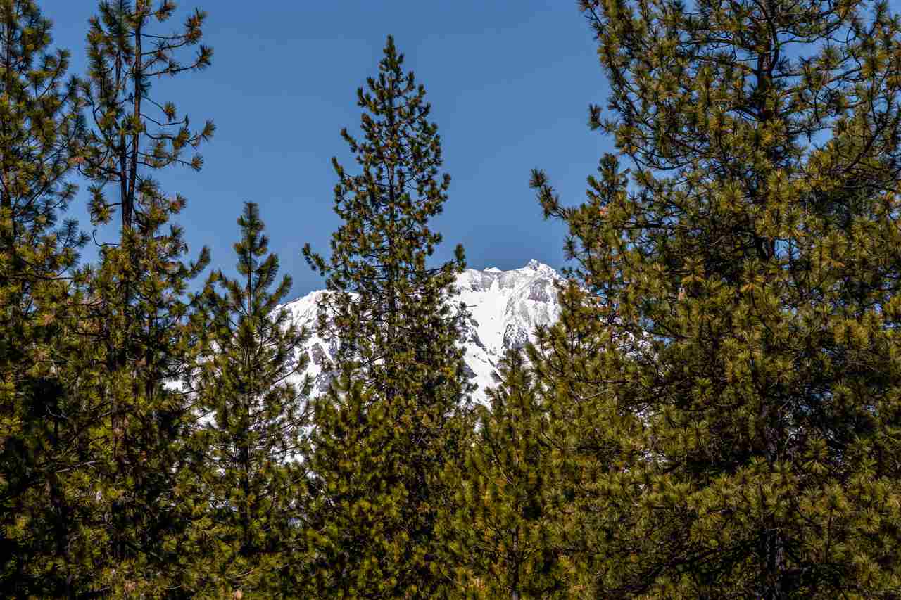 175 Haul Road McCloud, CA 96057 - Photo 7 of 8 Gallery Image 7