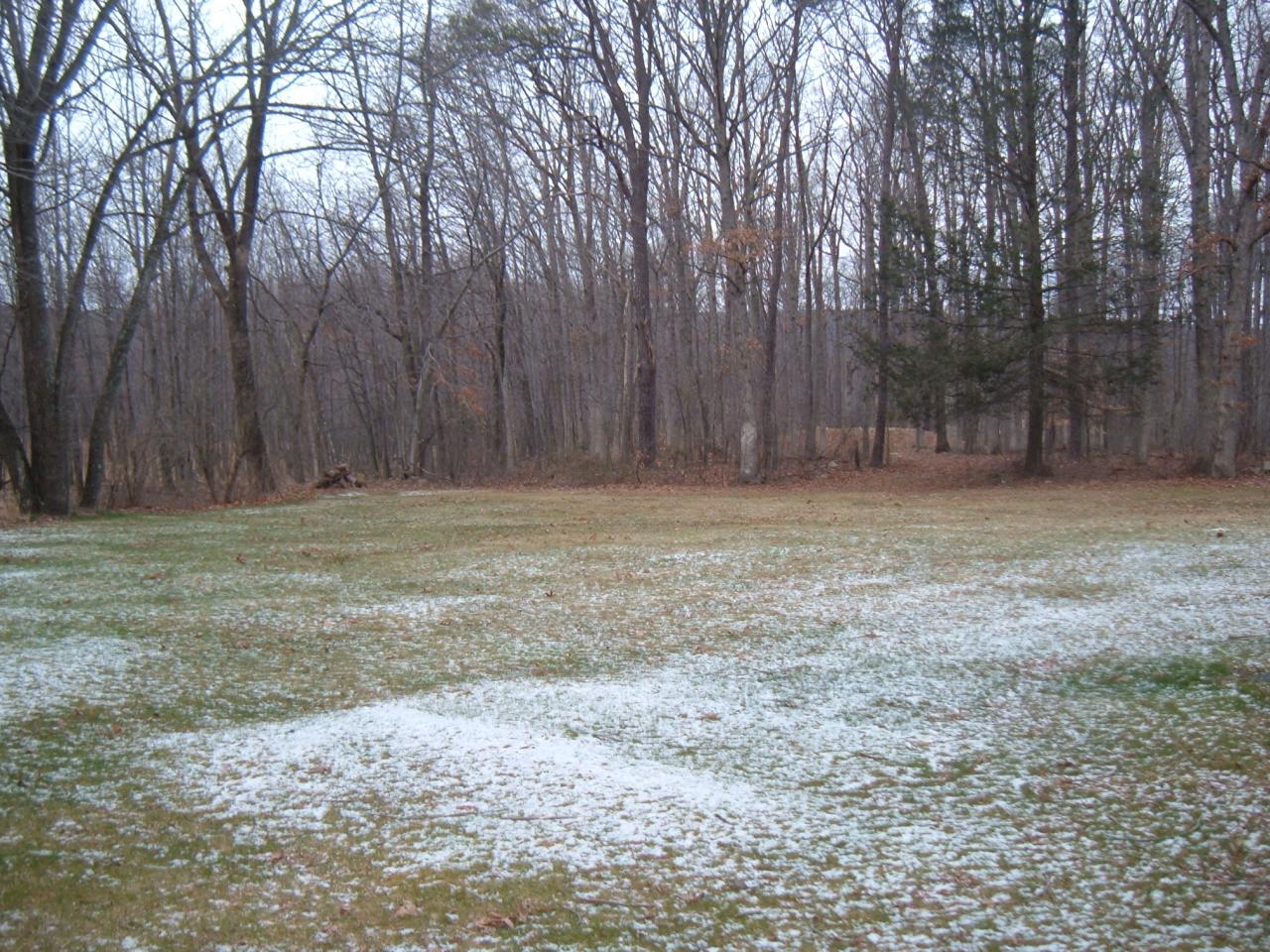 2140 West End Road Bath, PA 18014 - Photo 3 of 12 a view of a yard with trees in the background
