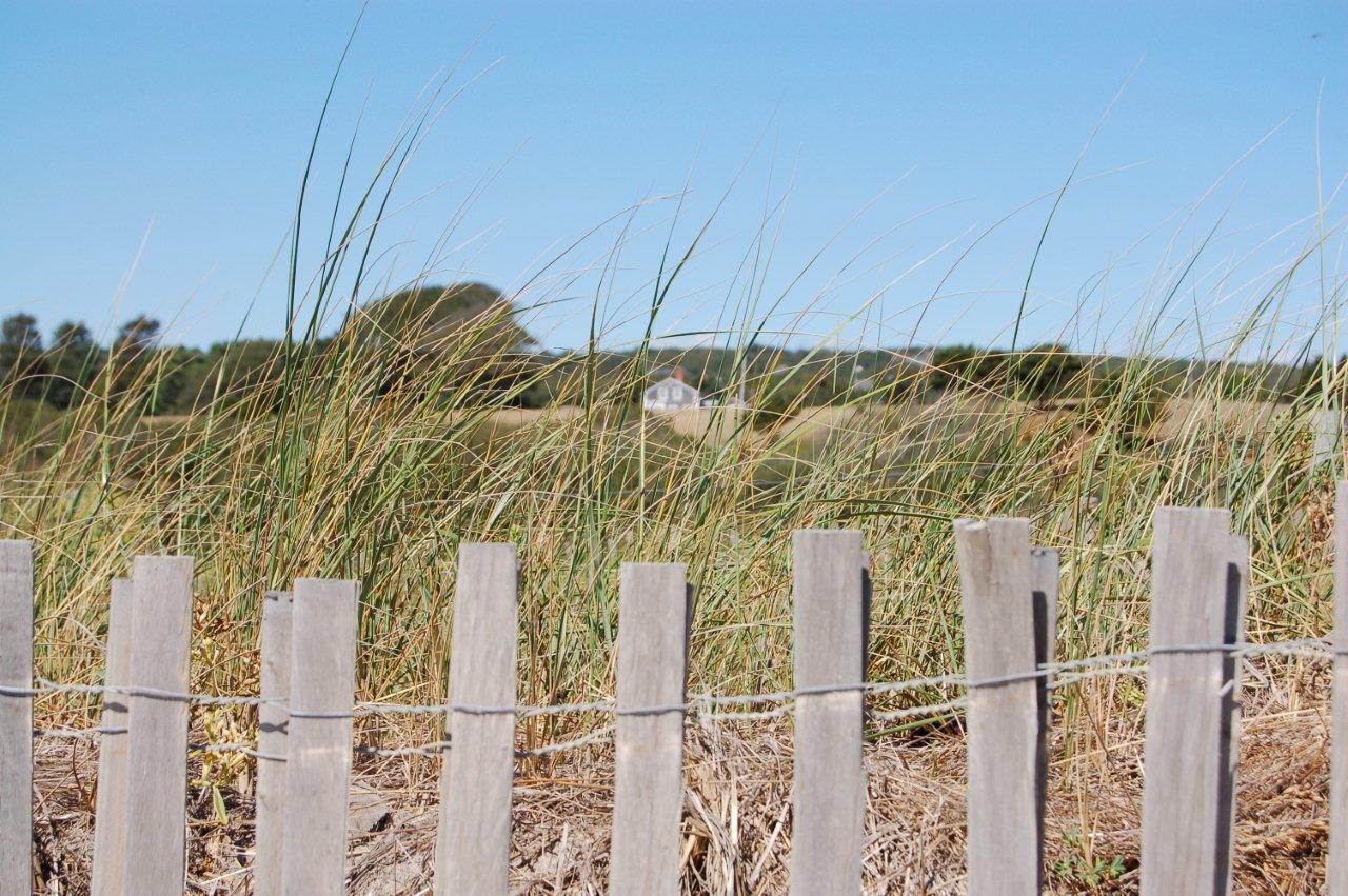 0 Quansoo Beach Chilmark, MA 02535 - Photo 10 of 16 a close up of a blue curtain