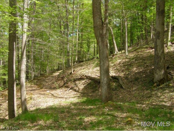 0 Chevauxdefrise Road Harrisville, WV 26362 - Photo 2 of 6 Gallery Image 2
