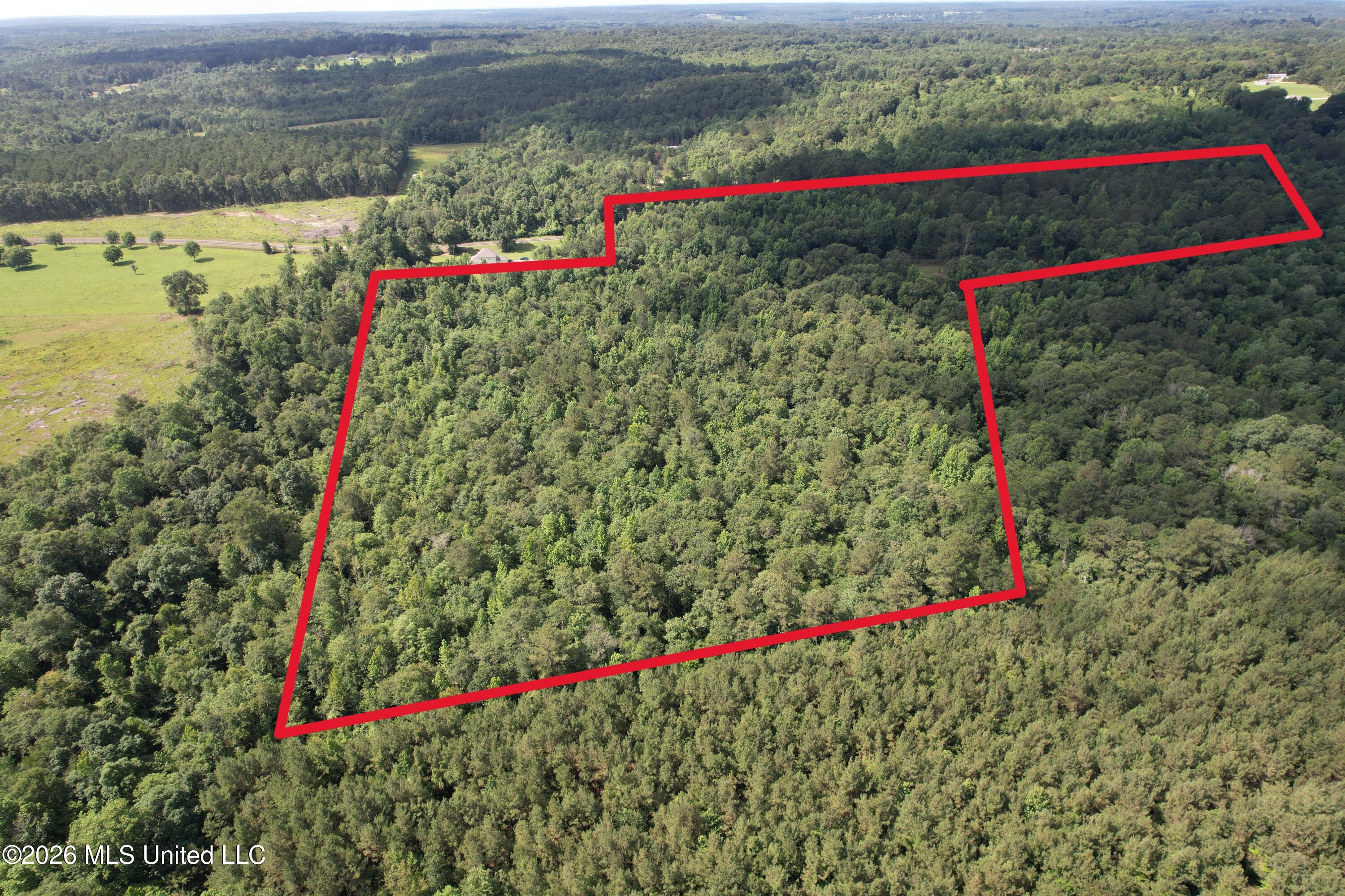 135 Joe Booth Road Taylorsville, MS 39168 - Photo 3 of 22 DJI_0620