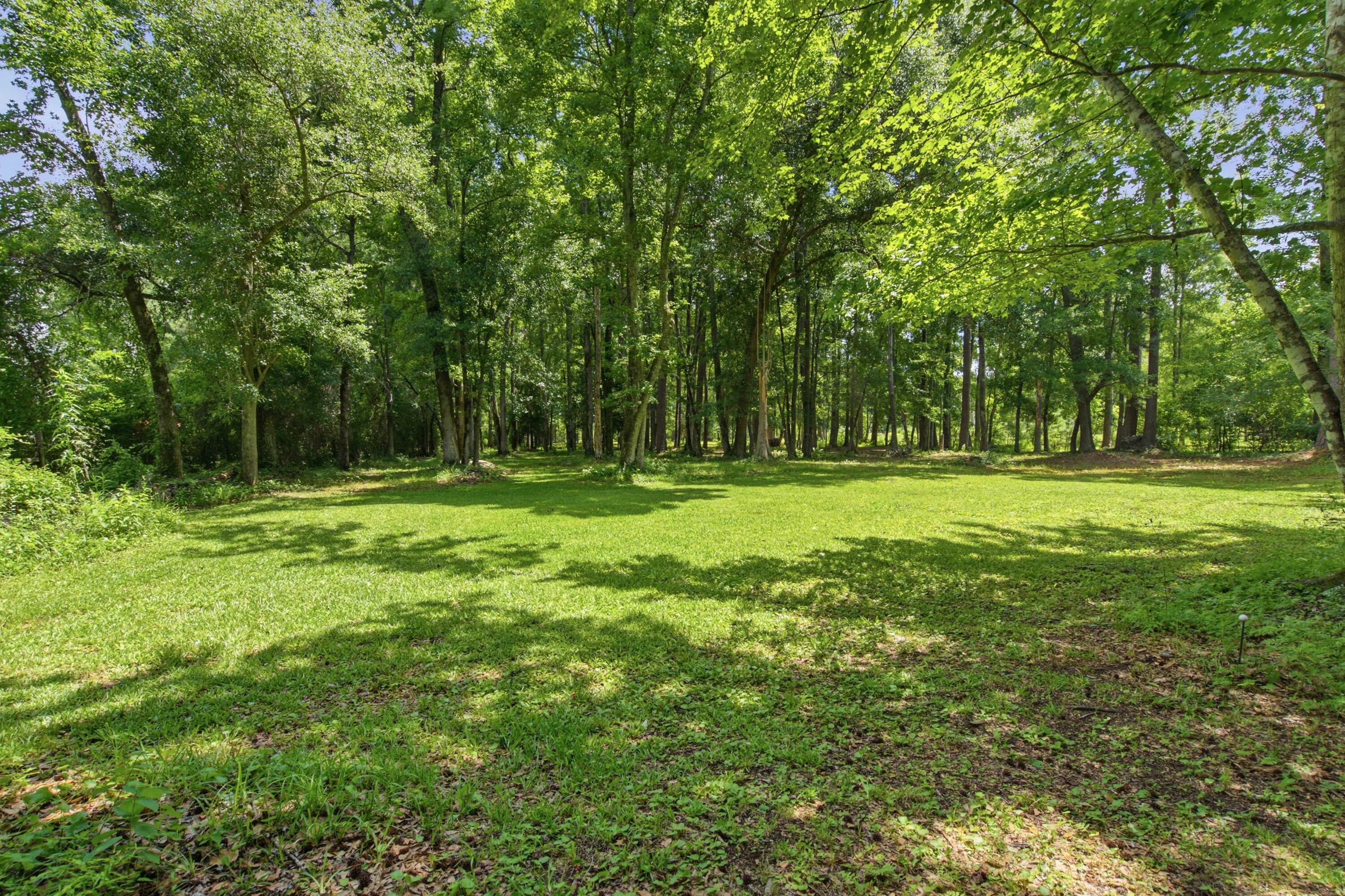 4886 State Road Ridgeville, SC 29472 - Photo 42 of 54