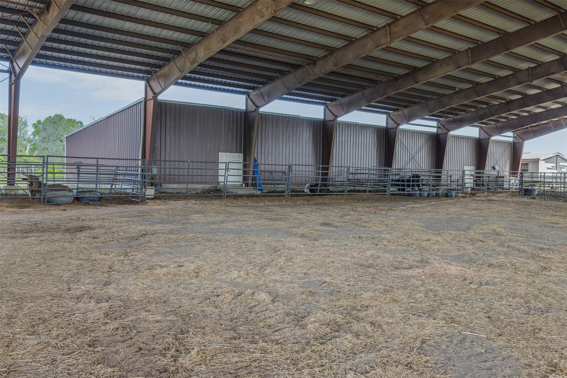 8519 State Park Road Lockhart, TX 78644 - Photo 11 of 40 View of horse riding arena