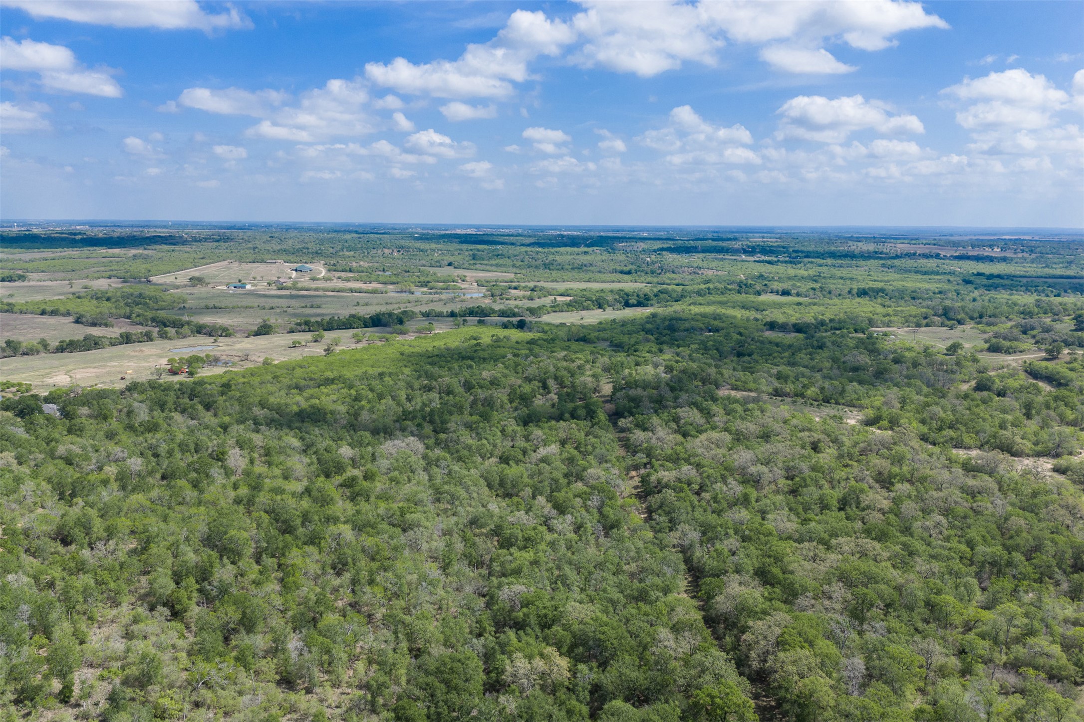 8519 State Park Road Lockhart, TX 78644 - Photo 17 of 40 Aerial view of a heavily wooded area