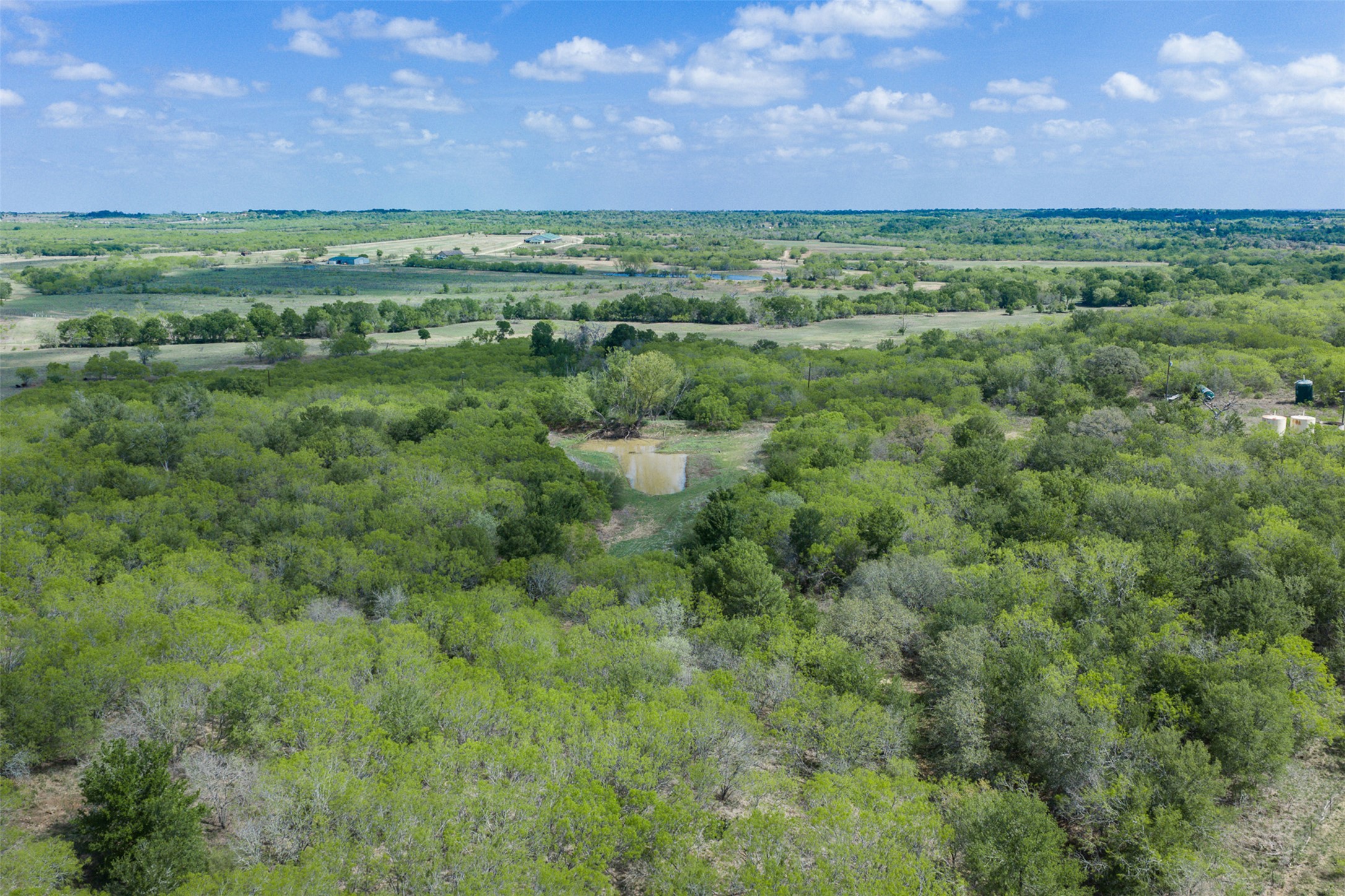 8519 State Park Road Lockhart, TX 78644 - Photo 18 of 40 Drone / aerial view of a heavily wooded area