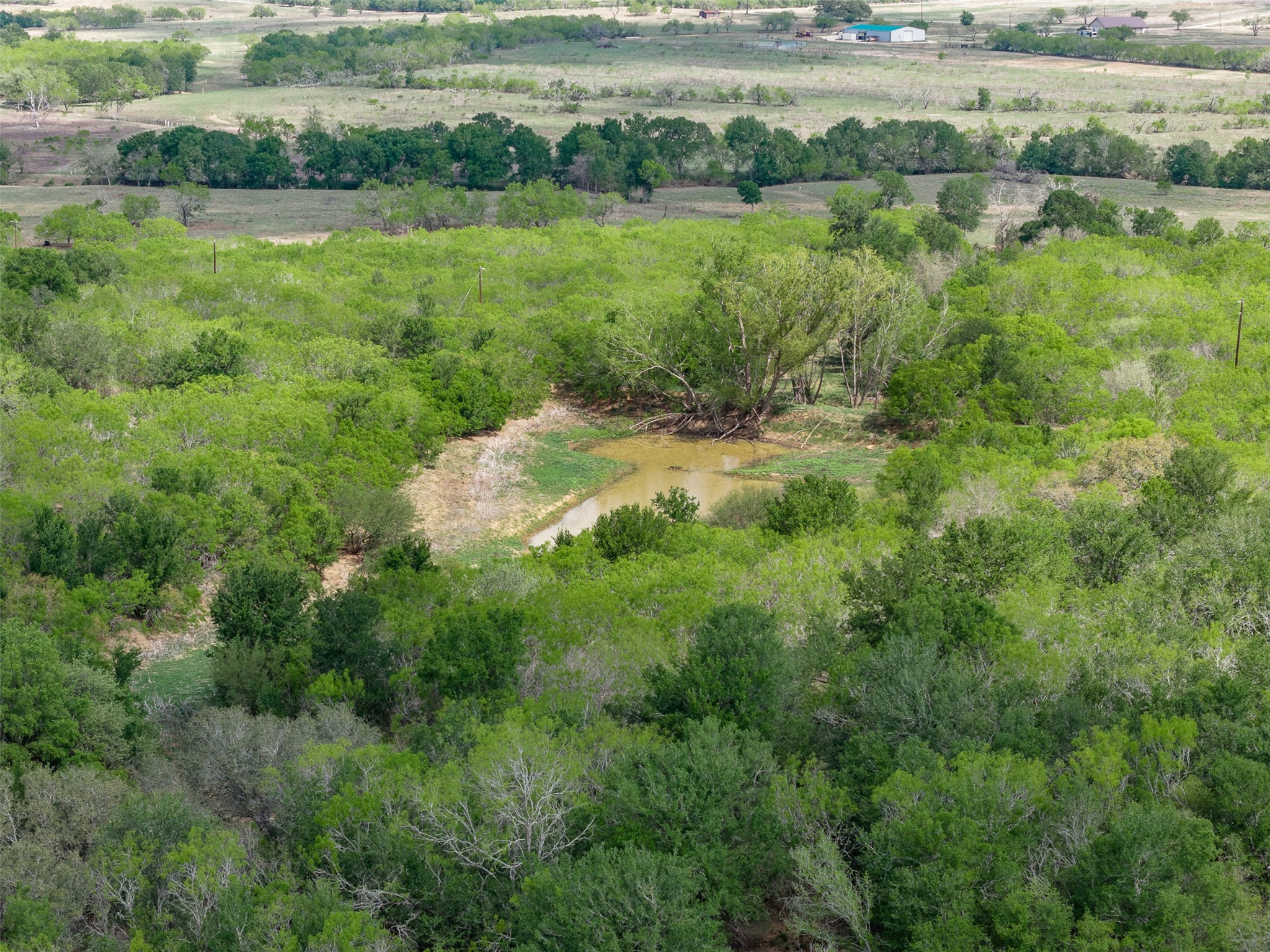 8519 State Park Road Lockhart, TX 78644 - Photo 19 of 40 View of rural area featuring a large body of water