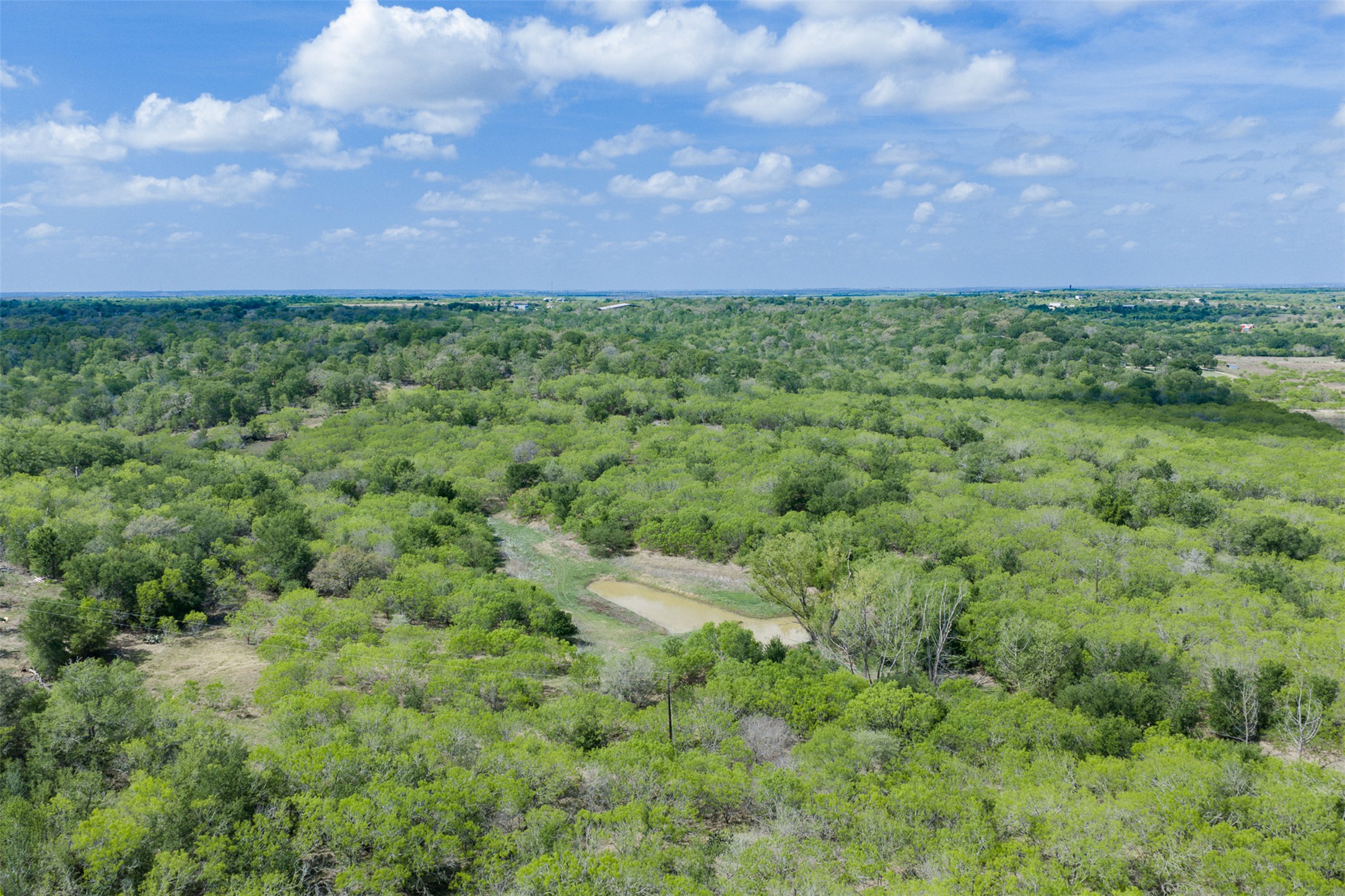8519 State Park Road Lockhart, TX 78644 - Photo 20 of 40 Bird's eye view of a forest