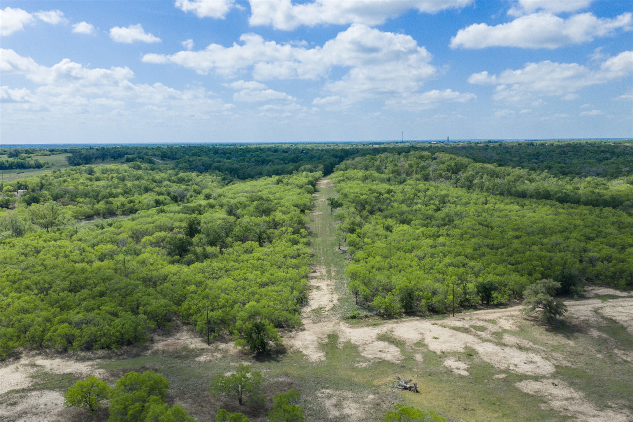 8519 State Park Road Lockhart, TX 78644 - Photo 22 of 40 View of rural area with abundant farmland
