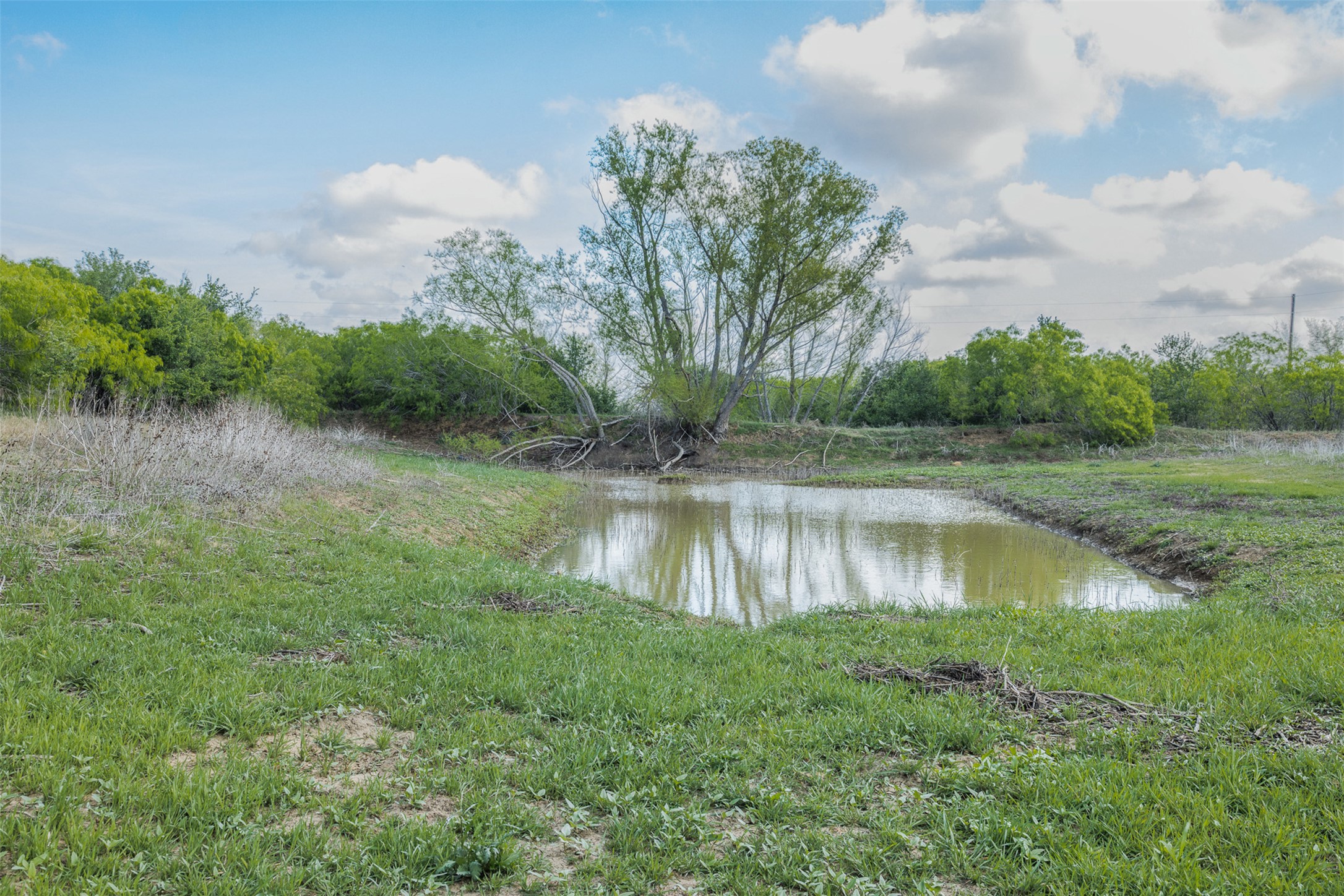 8519 State Park Road Lockhart, TX 78644 - Photo 35 of 40 Water view