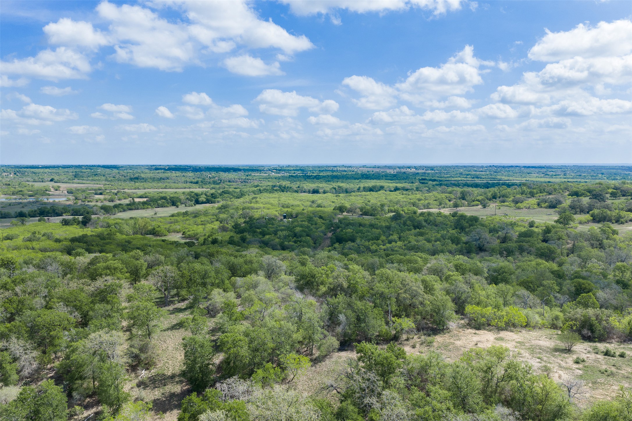 8519 State Park Road Lockhart, TX 78644 - Photo 39 of 40 Drone / aerial view
