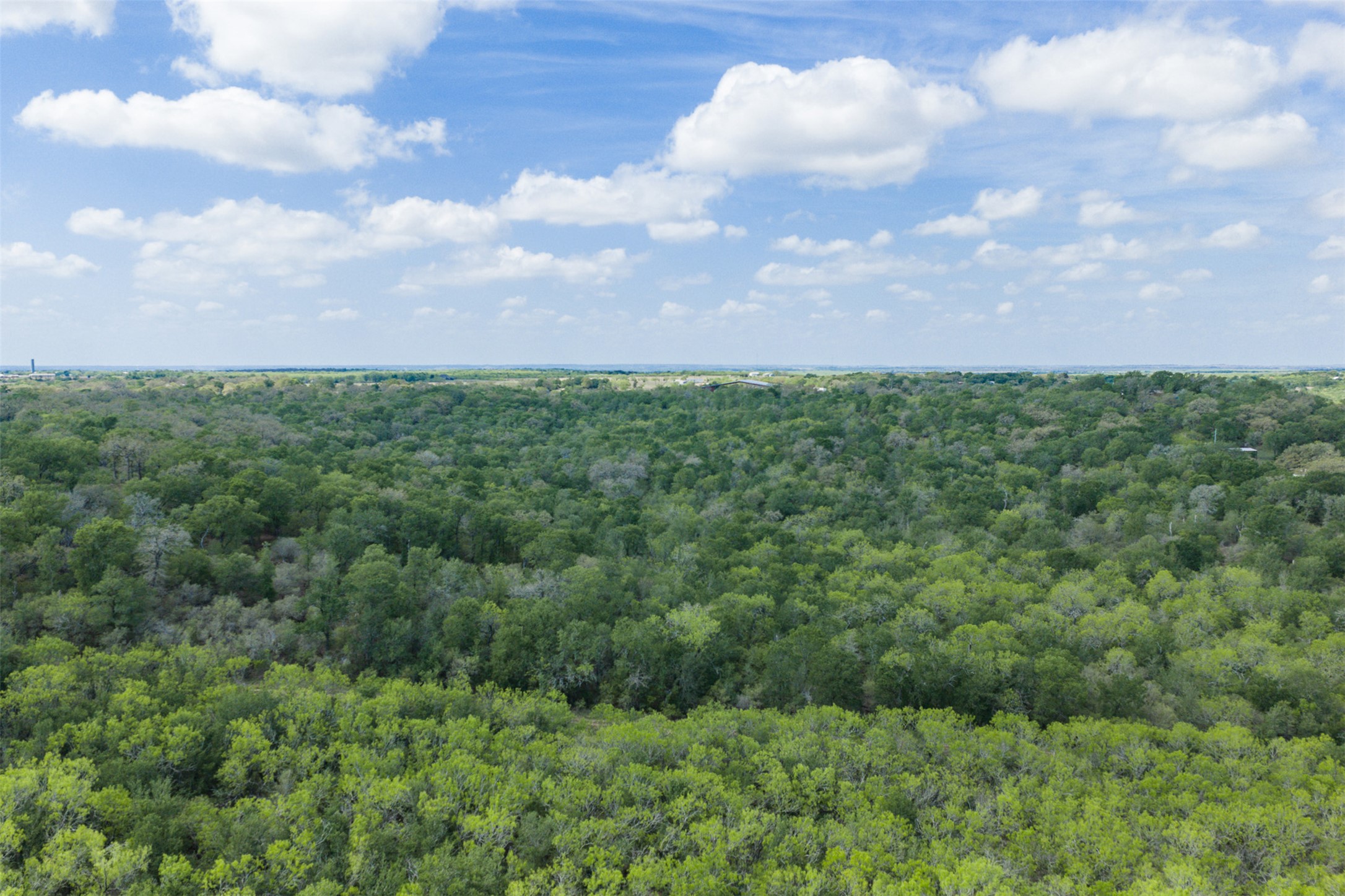 8519 State Park Road Lockhart, TX 78644 - Photo 40 of 40 Bird's eye view of a forest