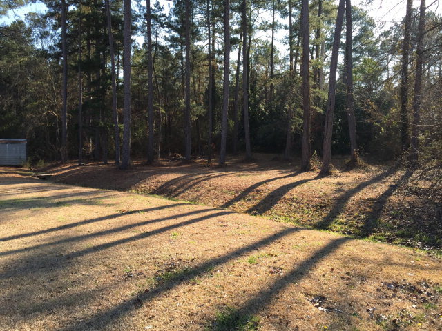5798 Huddersfield Road Macon, GA 31210 - Photo 30 of 35 a view of a backyard of a house