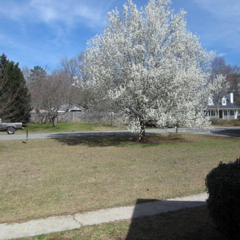 5798 Huddersfield Road Macon, GA 31210 - Photo 32 of 35 a view of a lake view
