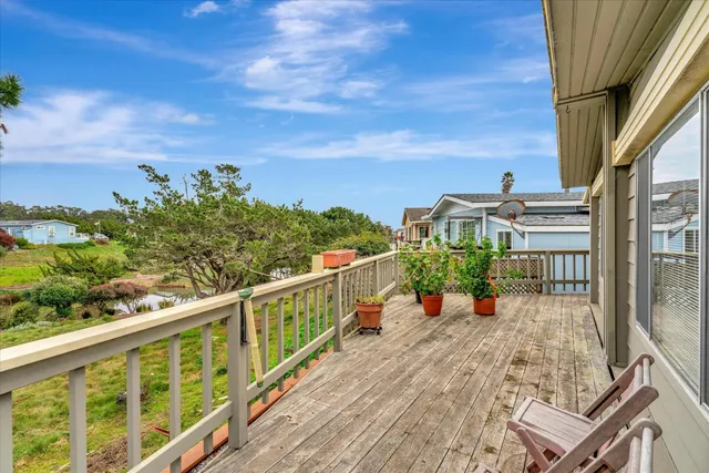 a view of a yard from a window