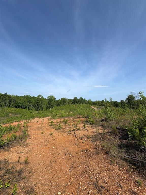 0 Roy Dean Road Buchanan, GA 30113 - Photo 14 of 24