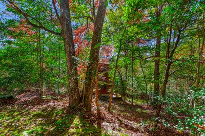 164 Beaver Ridge Road Murphy, NC 28906 - Photo 60 of 86