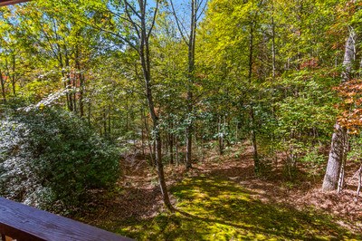 164 Beaver Ridge Road Murphy, NC 28906 - Photo 79 of 86