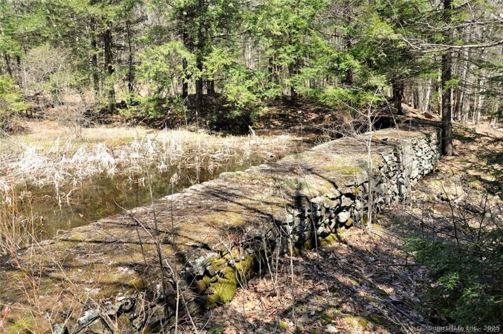 649 Litchfield Road Norfolk, CT 06058 - Photo 4 of 13