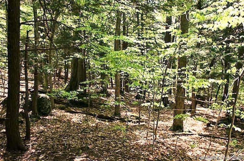 649 Litchfield Road Norfolk, CT 06058 - Photo 9 of 13