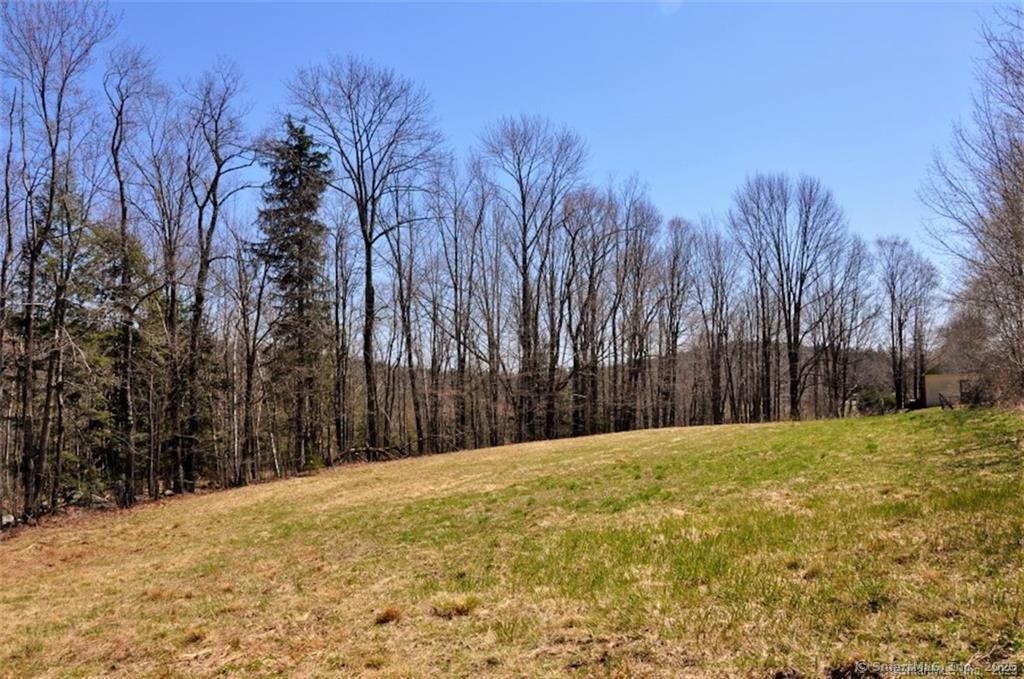 649 Litchfield Road Norfolk, CT 06058 - Photo 10 of 13