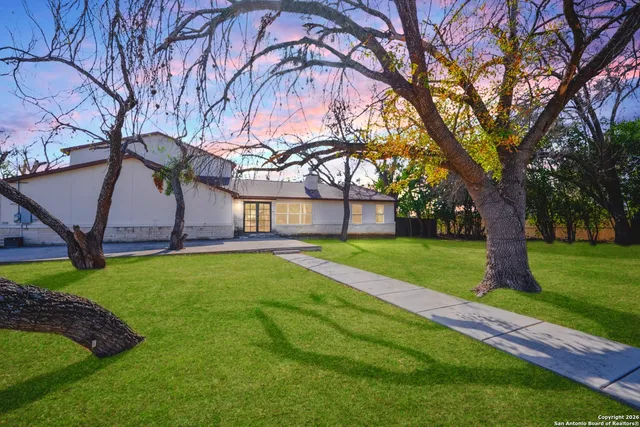a view of a house with backyard and a tree