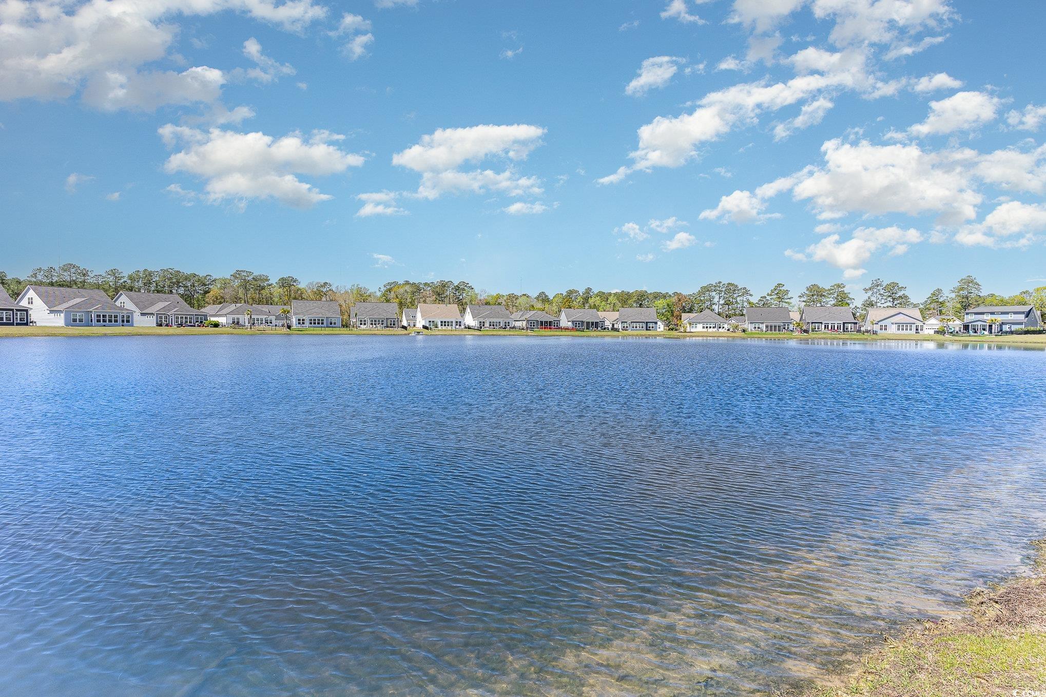 338 Bumble Circle Murrells Inlet, SC 29576 - Photo 37 of 39 Gallery Image 37