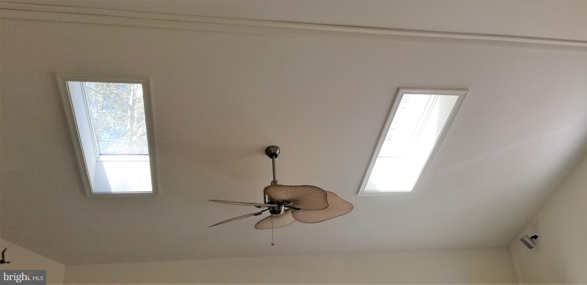 109 Pinehurst Road Ocean Pines, MD 21811 - Photo 6 of 21 Great room skylights