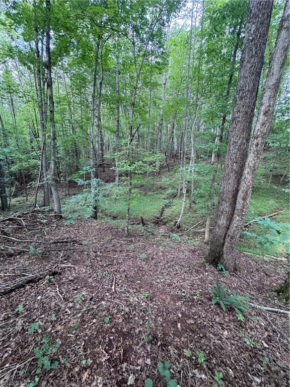 0 Johnson Road King, NC 27021 - Photo 10 of 14 Gallery Image 10