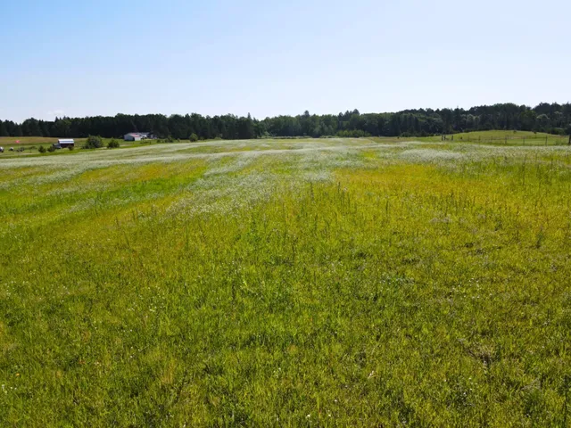 $29,900 | 84 Southwest Pine River Southwest, Pine River, MN 56474