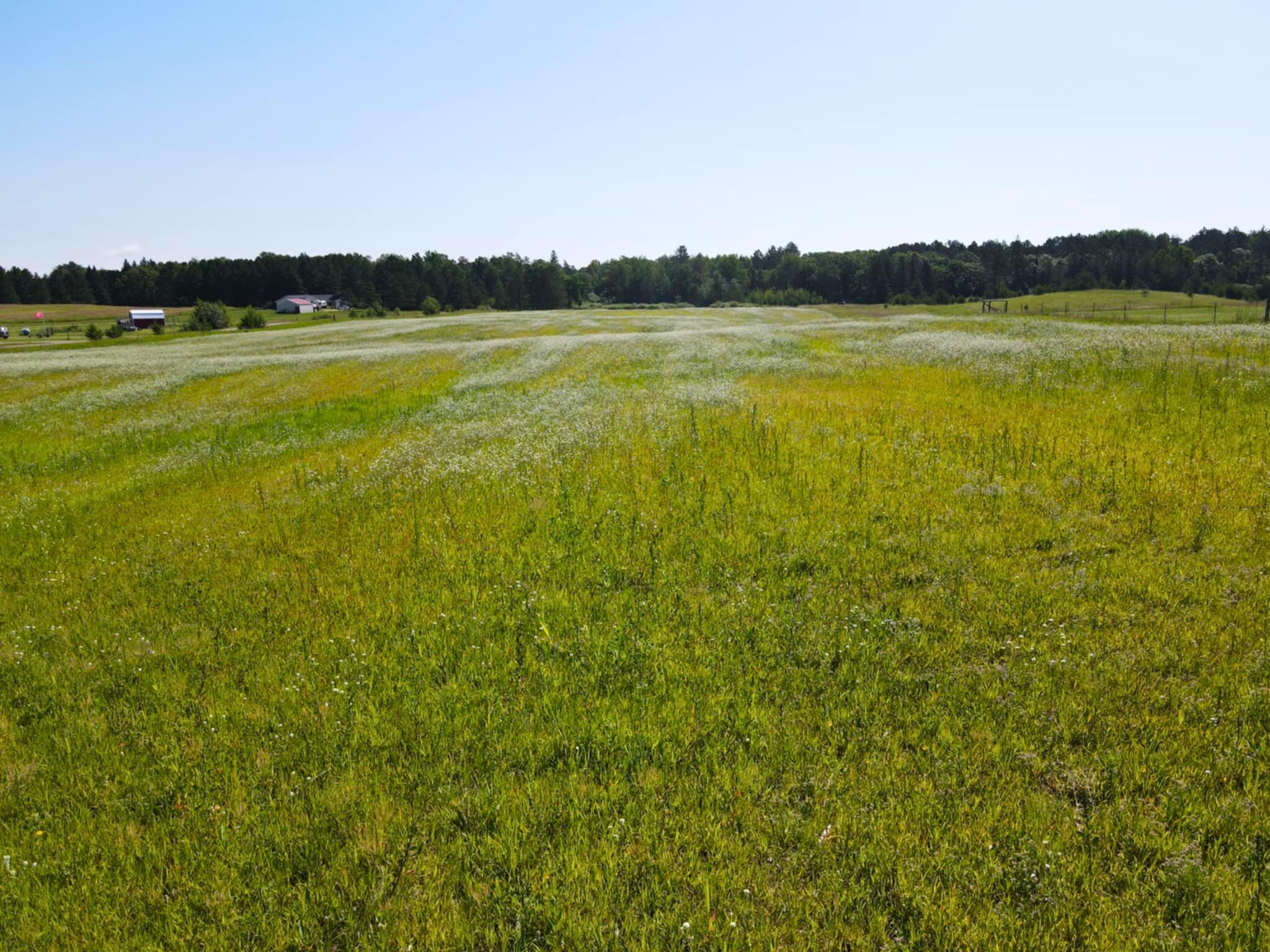84 Southwest Pine River Southwest Pine River, MN 56474 - Photo 3 of 8